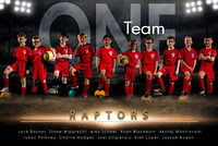 Raptors 2019